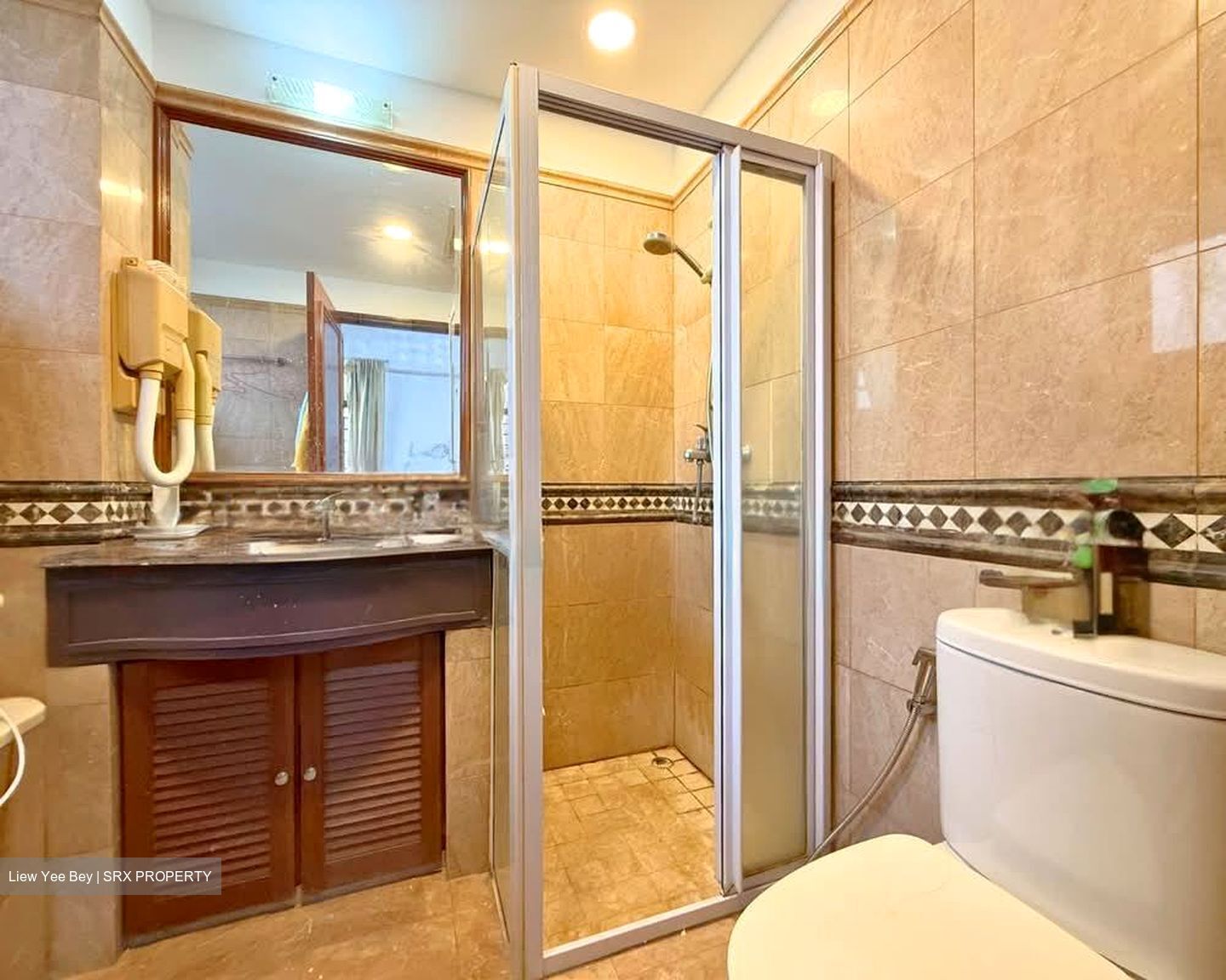 Dover Parkview (D5), Condominium #611516751